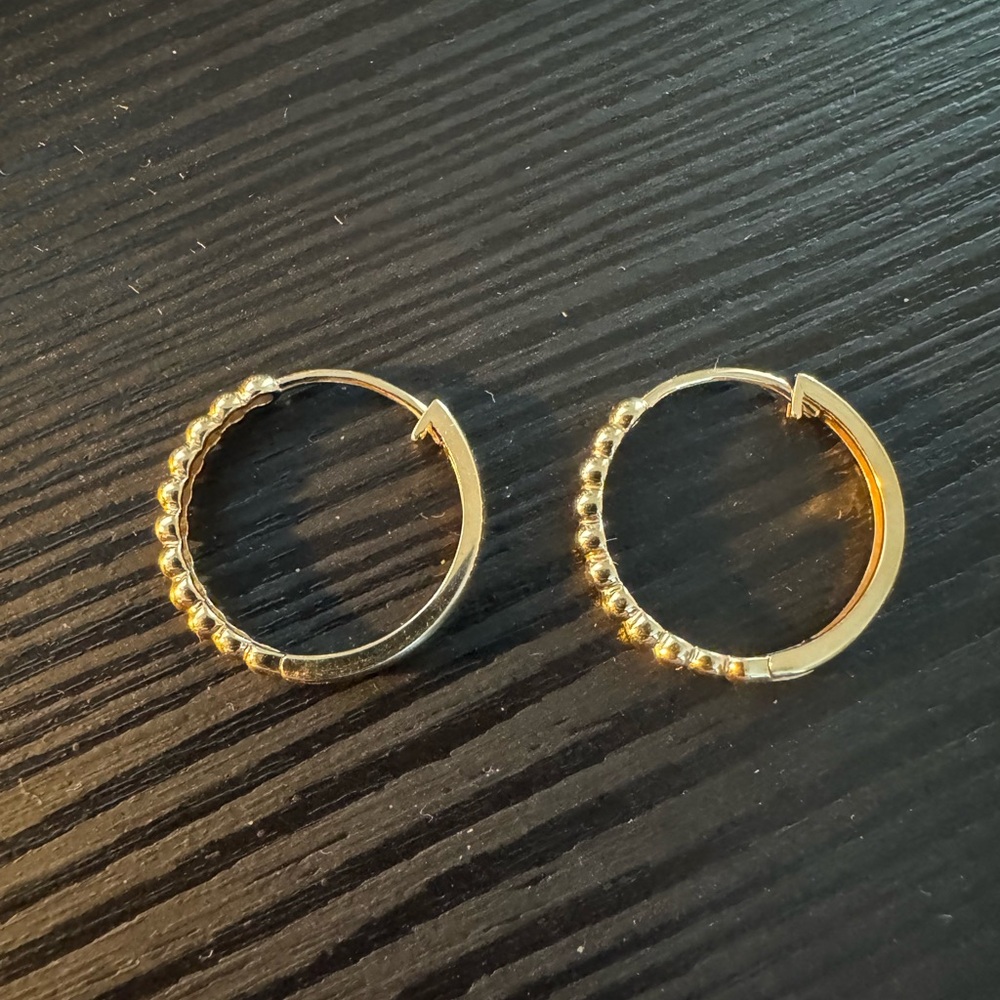 Elegant 14k Gold Hoop Earrings